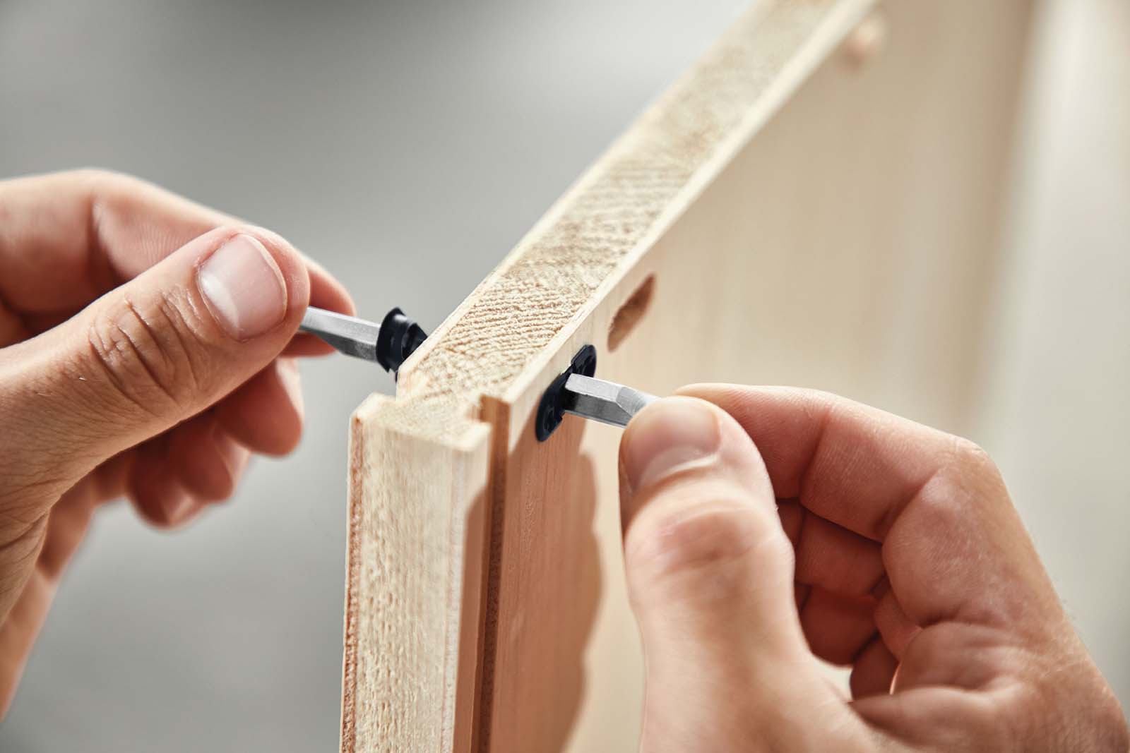 Festool Łącznik do półek środkowych MSV D8/25 203167 - obrazek 6